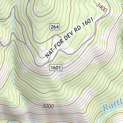 46121NE Page 47 Mount Rainier Topo Preview 3