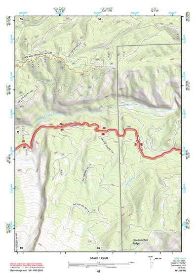46121NE Page 48 Mount Rainier Topo Preview 1