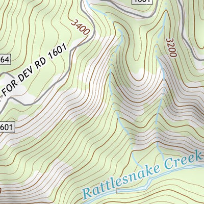 46121NE Page 48 Mount Rainier Topo Preview 3
