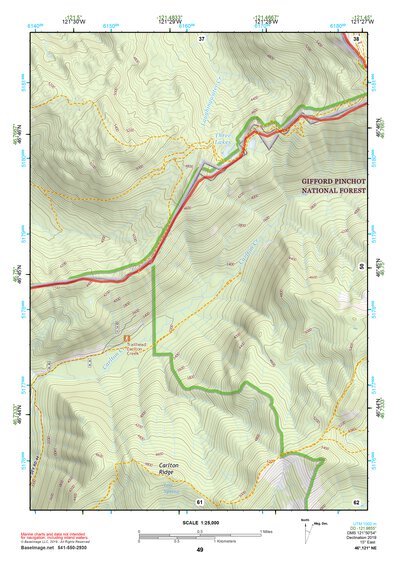 46121NE Page 49 Mount Rainier Topo Preview 1