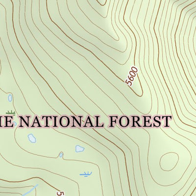 46121NE Page 51 Mount Rainier Topo Preview 2