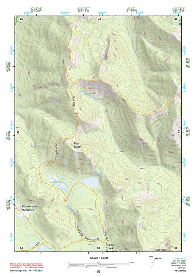 46121NE Page 53 Mount Rainier Topo Preview 1