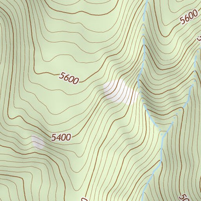 46121NE Page 54 Mount Rainier Topo Preview 2