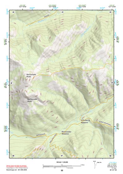 46121NE Page 55 Mount Rainier Topo Preview 1