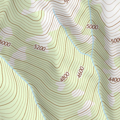 46121NE Page 55 Mount Rainier Topo Preview 3