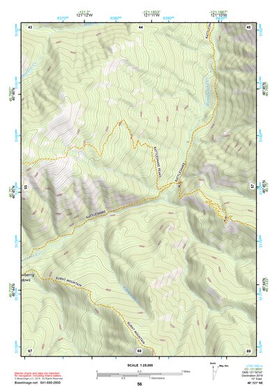 46121NE Page 56 Mount Rainier Topo Preview 1