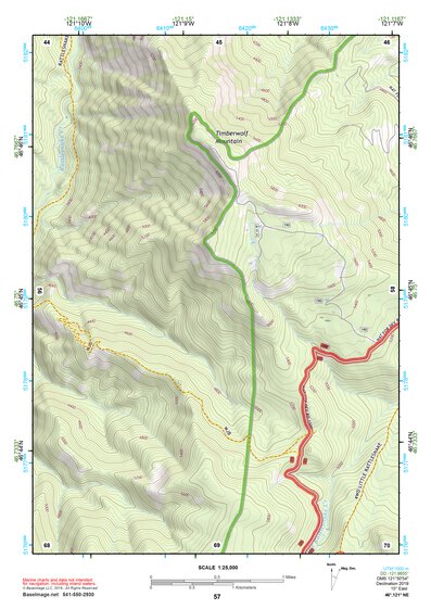 46121NE Page 57 Mount Rainier Topo Preview 1