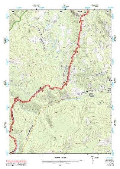46121NE Page 58 Mount Rainier Topo Preview 1