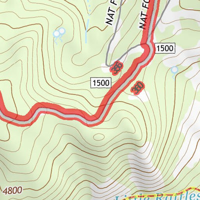 46121NE Page 58 Mount Rainier Topo Preview 2