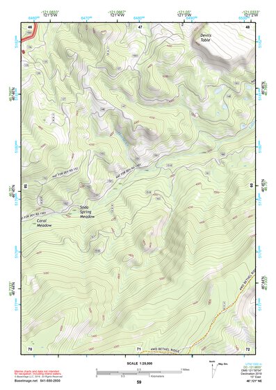 46121NE Page 59 Mount Rainier Topo Preview 1