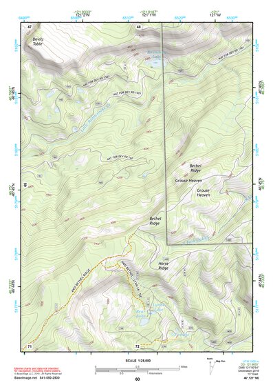 46121NE Page 60 Mount Rainier Topo Preview 1