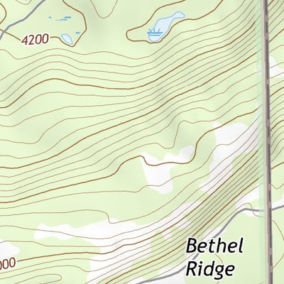 46121NE Page 60 Mount Rainier Topo Preview 2