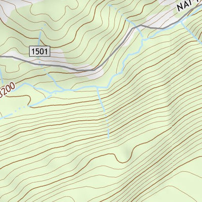 46121NE Page 60 Mount Rainier Topo Preview 3