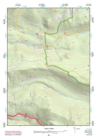 46121NE Page 61 Mount Rainier Topo Preview 1