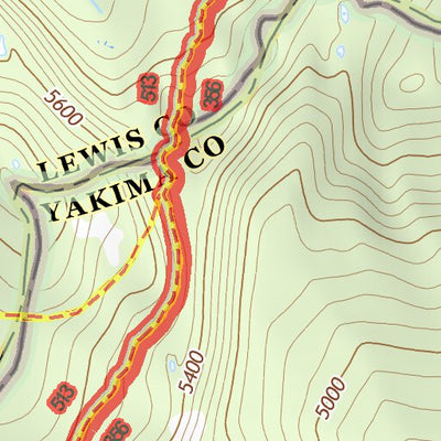 46121NE Page 63 Mount Rainier Topo Preview 3