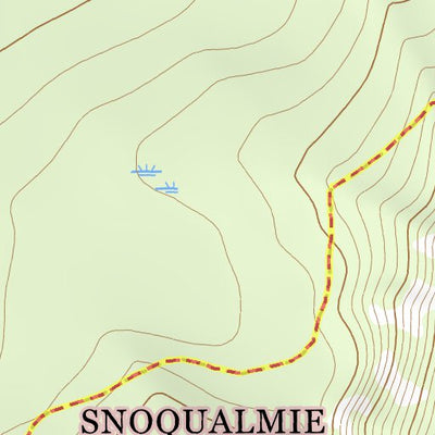 46121NE Page 65 Mount Rainier Topo Preview 2
