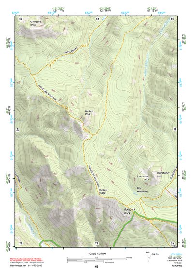 46121NE Page 66 Mount Rainier Topo Preview 1
