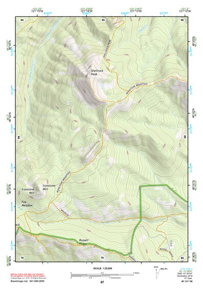 46121NE Page 67 Mount Rainier Topo Preview 1