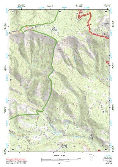 46121NE Page 69 Mount Rainier Topo Preview 1