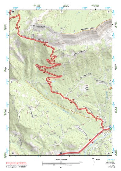 46121NE Page 70 Mount Rainier Topo Preview 1