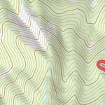 46121NE Page 70 Mount Rainier Topo Preview 3