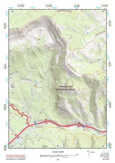 46121NE Page 71 Mount Rainier Topo Preview 1