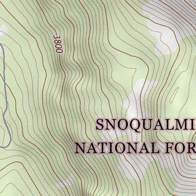 46121NE Page 71 Mount Rainier Topo Preview 2