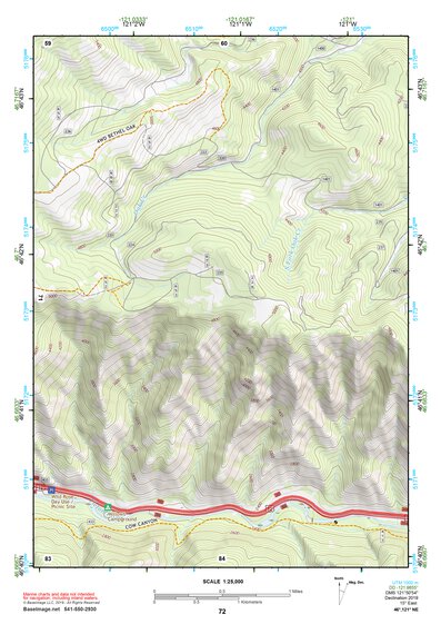 46121NE Page 72 Mount Rainier Topo Preview 1