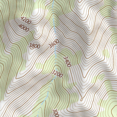 46121NE Page 72 Mount Rainier Topo Preview 3