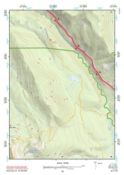 46121NE Page 73 Mount Rainier Topo Preview 1