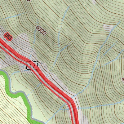 46121NE Page 73 Mount Rainier Topo Preview 3
