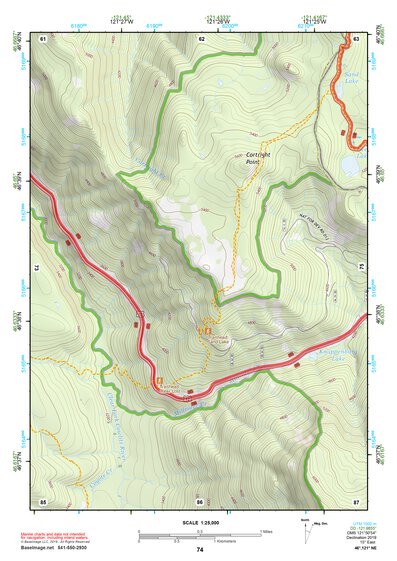 46121NE Page 74 Mount Rainier Topo Preview 1