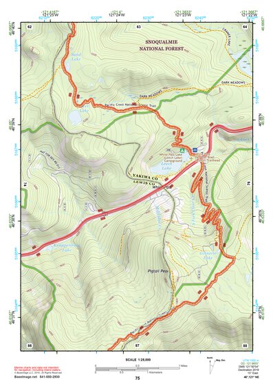 46121NE Page 75 Mount Rainier Topo Preview 1
