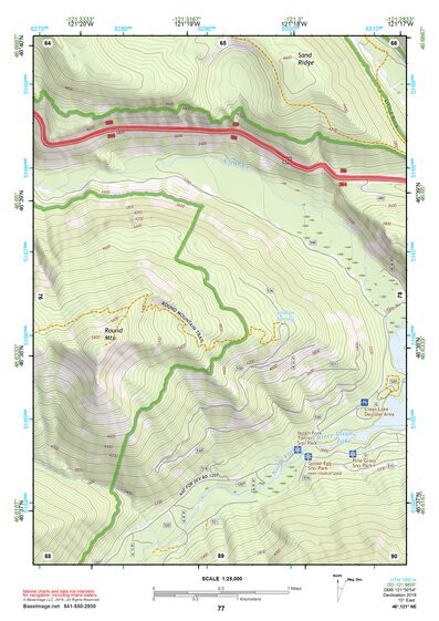 46121NE Page 77 Mount Rainier Topo Preview 1