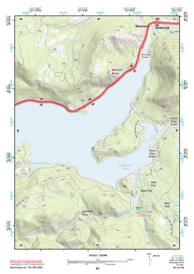 46121NE Page 81 Mount Rainier Topo Preview 1