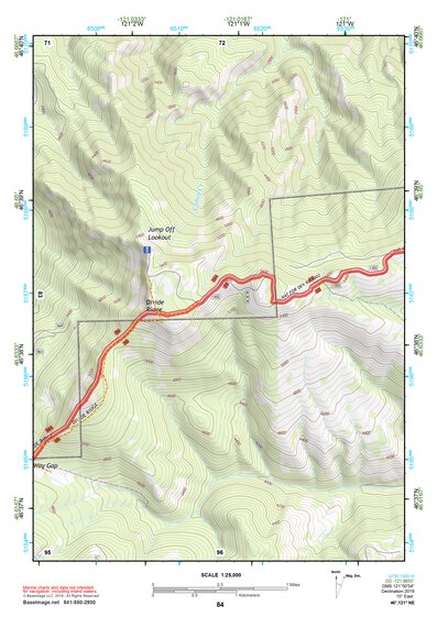 46121NE Page 84 Mount Rainier Topo Preview 1