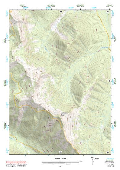 46121NE Page 85 Mount Rainier Topo Preview 1