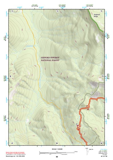 46121NE Page 86 Mount Rainier Topo Preview 1