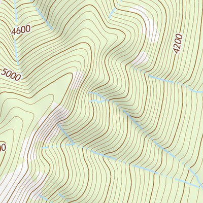 46121NE Page 86 Mount Rainier Topo Preview 3