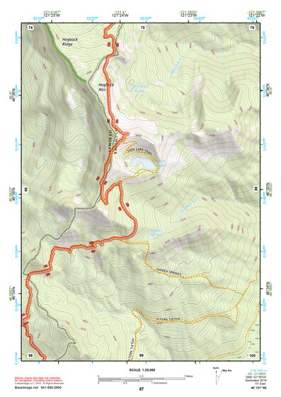 46121NE Page 87 Mount Rainier Topo Preview 1