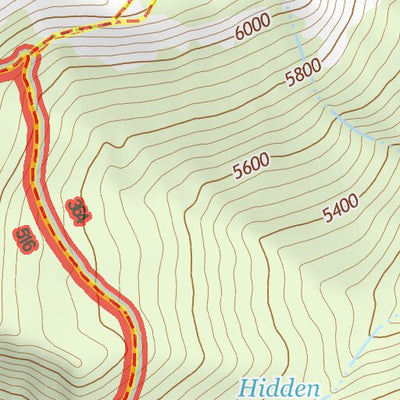 46121NE Page 87 Mount Rainier Topo Preview 2