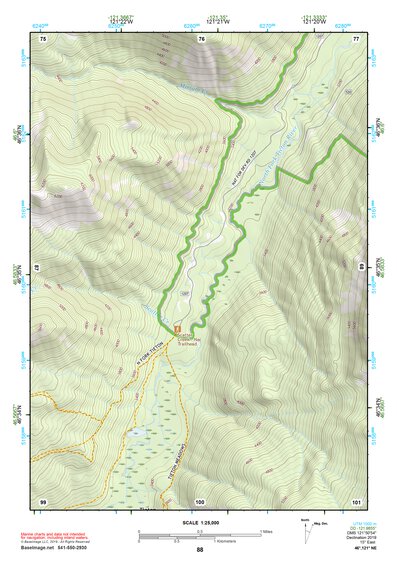 46121NE Page 88 Mount Rainier Topo Preview 1