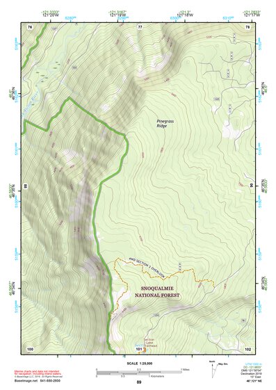 46121NE Page 89 Mount Rainier Topo Preview 1