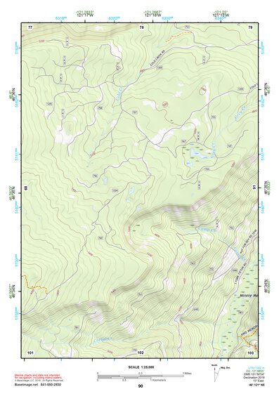 46121NE Page 90 Mount Rainier Topo Preview 1