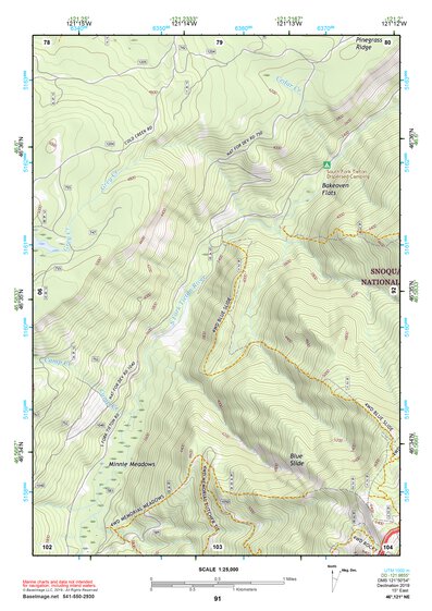 46121NE Page 91 Mount Rainier Topo Preview 1