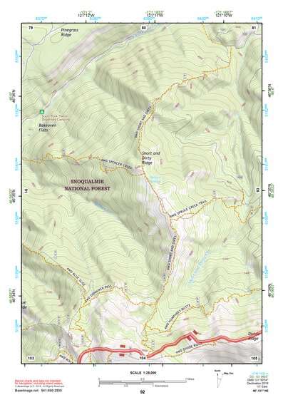 46121NE Page 92 Mount Rainier Topo Preview 1
