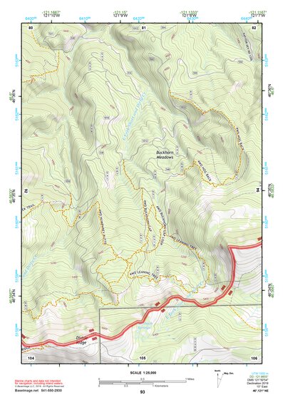 46121NE Page 93 Mount Rainier Topo Preview 1
