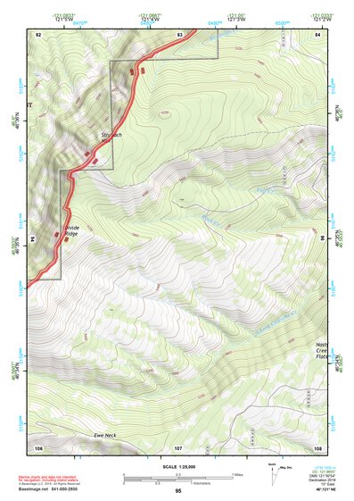 46121NE Page 95 Mount Rainier Topo Preview 1