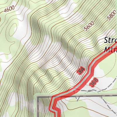 46121NE Page 95 Mount Rainier Topo Preview 3