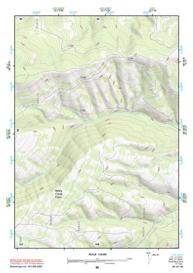 46121NE Page 96 Mount Rainier Topo Preview 1